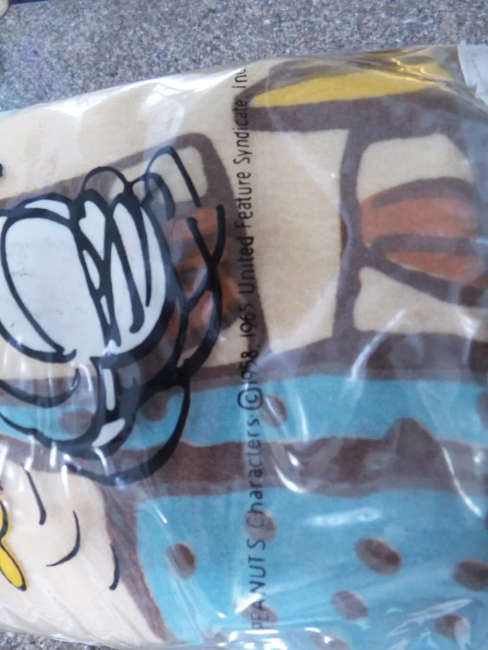 Vintage 1965 Peanuts Snoopy Chatham Keep Fit Blanket w/ Original Bag